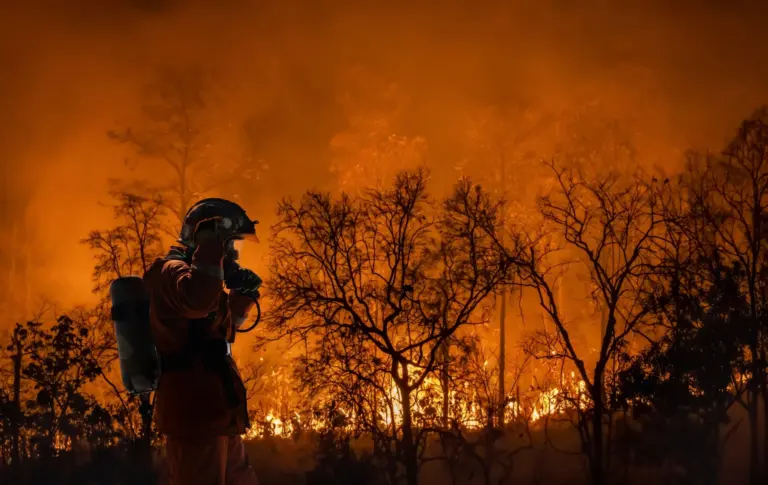 California Wildfires